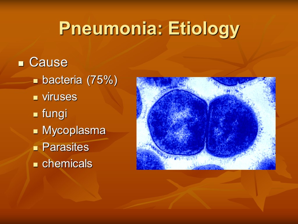 Pneumonia: Etiology Cause bacteria (75%) viruses fungi Mycoplasma Parasites chemicals